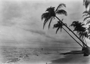Strandansicht : Blick auf einen Strand.