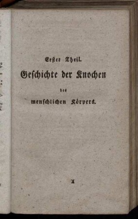 Erster Theil: Geschichte der Knochen des menschlichen Körpers