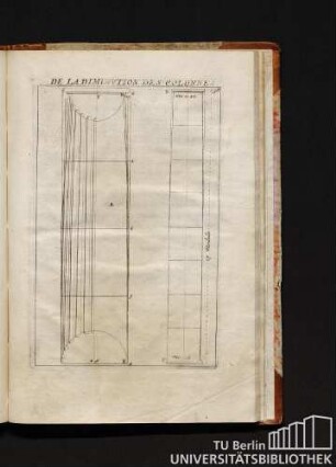 De la dimension des colonnes