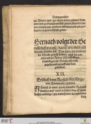 Hernach volgt der Gerichtlich proceß / das ist wie man am Gericht handlen soll [...]