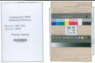 Entnazifizierung Hedwig Pelzing , geb. 23.04.1905 ()
