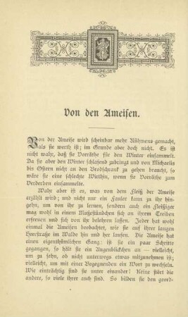 Von den Ameisen
