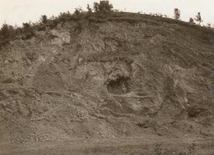 Nordsächsisches Tiefland. Blauberg südlich Badersen. Westlicher Steinbruch. Westrand des Kontakthofes der Meißner Granit-Syenit-Lakkolithen