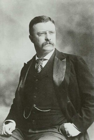 Roosevelt, Theodore