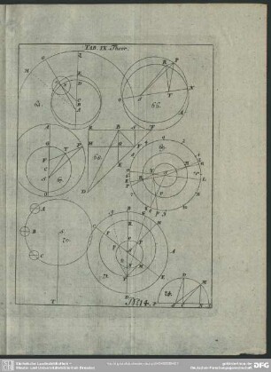 No. 14. Tab. IX. Theor.
