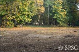 Potsdam, Park Sacrow, Geländemodellierung unweit der Römischen Bank.