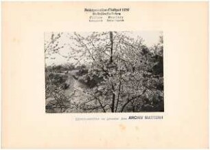 Reichsgartenschau 1939 auf dem Killesberg, Stuttgart: Baustelle
