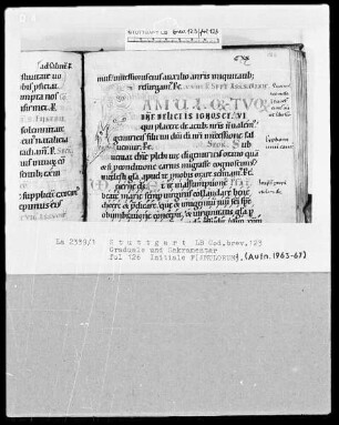 Graduale und Sakramentar — Zierinitiale F(amularum), Folio 126recto