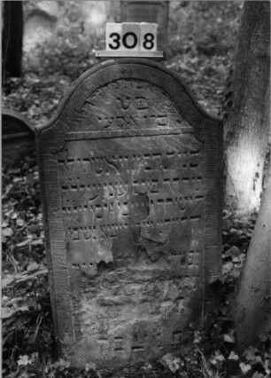 Grabstein 308 (Index: 99803472) Material: Sandstein Zustand: unten abgeblättert/Textverlust Maße HxBxT: 115x64x11 cm Beschreibung: Stele mit Karniesbogen und profiliertem Rand: Grabstein 308