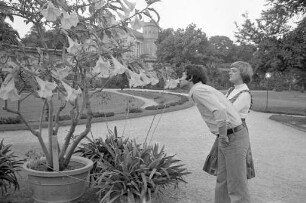 Sonniger Herbsttag im Botanischen Garten
