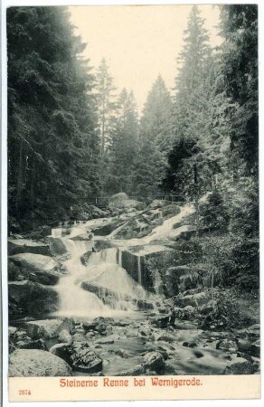 Wernigerode. Waldmotiv Steinerne Renne