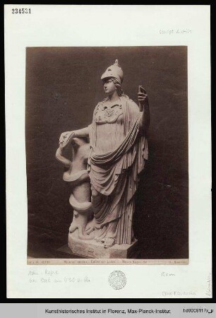 Minerva