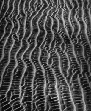 Strukturen im Sandboden, Watt