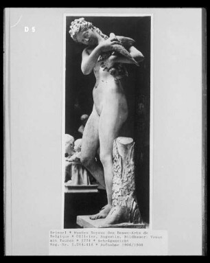 Venus mit Tauben