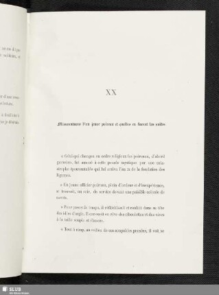 XX Mésaventures d'un jeune poireau et quelles en furent les suites
