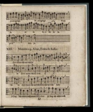 XIII. Herz wann ich nur dich habe (Motetta a 3. Altus, Tenor & Bassus)