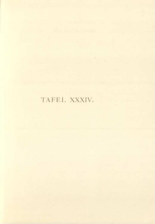 Tafel XXXIV.