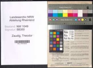 Entnazifizierung Theodor Zaudig , geb. 16.03.1888 (Postbeamter)