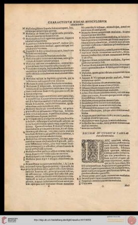 Decimae musculorum tabulae characterum index