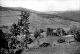 Blick zum Alten Berg und Grumbacher Höhe