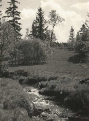 Schellerhau. Im Tal der Roten Weißeritz
