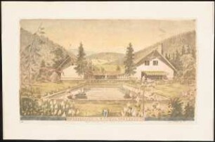 Landhaus, Nyon (Haus Baer): Perspektivische Ansicht (Gartenseite)