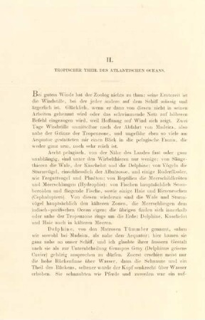 II. Tropischer Theil des Atlantischen Oceans