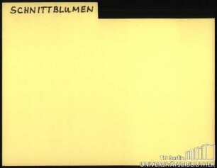 SCHNITTBLUMEN