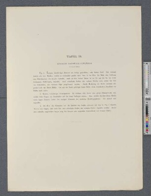 Tafel 38. Einfache Baumwoll-Gewänder.