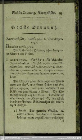 Sechste Ordnung