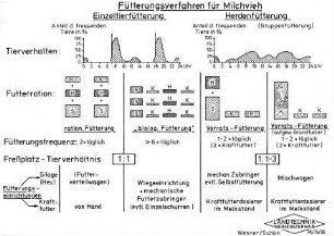 Fütterungsvefahren für Milchvieh;Einzeltierfütterung - Herdenfütterung
