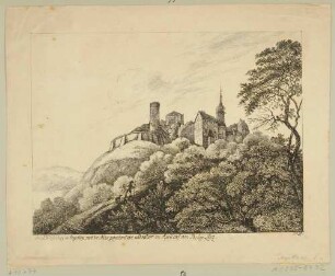 Schloss Wiesenburg (Wildenfels) über der Zwickauer Mulde südöstlich von Zwickau im Erzgebirge (?)