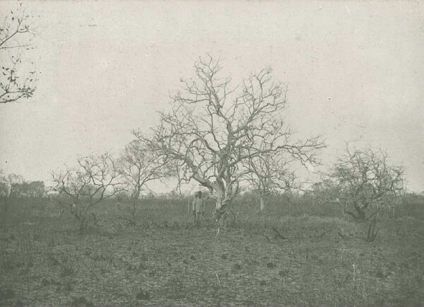 Eine Landschaft mit Blech B. bei Mitrudo an der Karawanenstr.