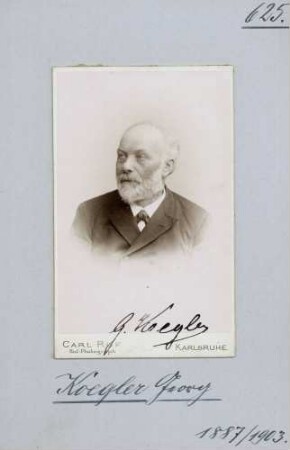 Kögler, Georg, Nationalliberale