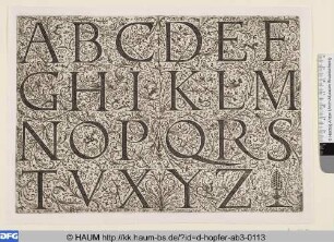 Alphabet in lateinischen Majuskeln auf ornamentalem Grund