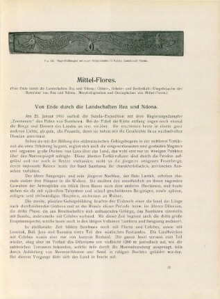 Mittel-Flores