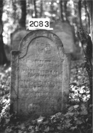 Grabstein 2083