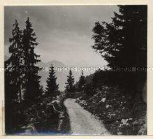 Lofer, Weg zur Loferer Alm, Blick gegen die Leoganger Steinberge