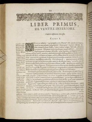 Liber Primus, De Ventre Inferiore.