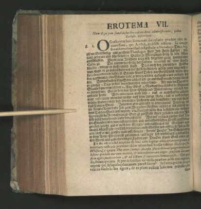 Erotema VII.
