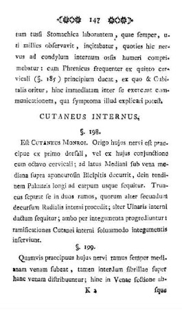 Cutaneus Internus.