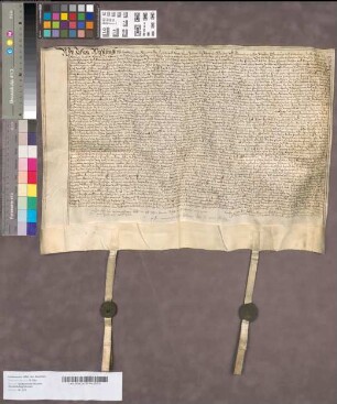 Urkunde, die sich auf die testamentarische Verfügung der virginis Elisabeth Frie (oder Freie) bezieht.