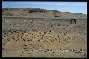 Djara 90/1-2