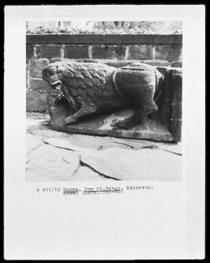 Rest vom Bauschmuck des Doms - Löwe