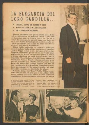 La elegancia del Loro Pandilla...