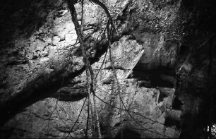 Stallegg: Wutach; geologische Verwerfungen