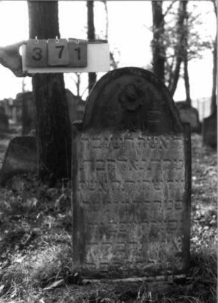 Grabstein 371 (Index: 100115735) Material: Sandstein Zustand: leicht verwittert Maße HxBxT: 88x49x9 cm Beschreibung: Stele mit eingezogenem Segmentbogenabschluß, eingetieftes Schriftfeld Symbolik: Blüte: Grabstein 371
