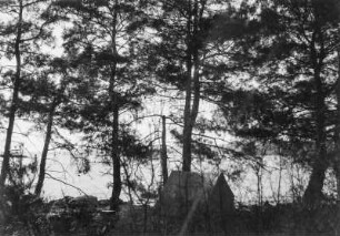 Zeltlager : Ein Zeltlager in einem Wald an der Küste