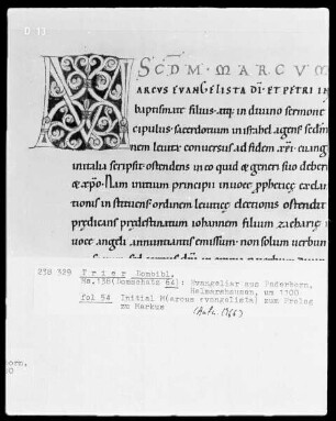 Evangeliar: Initiale M