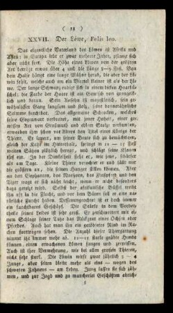 XXVII. Der Löwe, Felis leo.